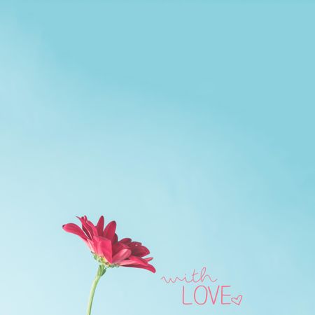 Red flower on sky background with words “with love”