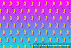 Pink and yellow bananas in rows on gradient pink to blue background 5ryj10