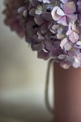 Fresh purple summer floral box