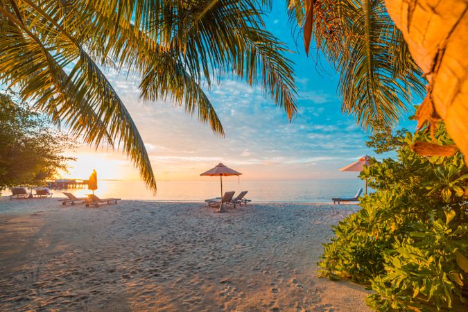 Loungers on a tropical beach at sun set