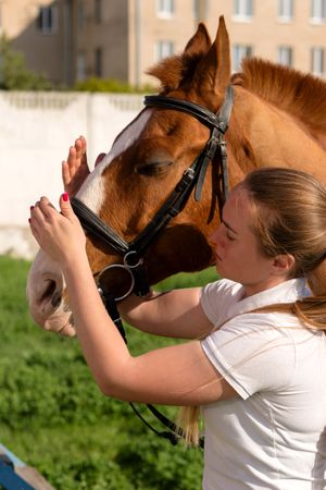 Final adjustments to horse's bridle