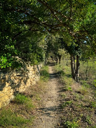 Trail along stone wall in the Baux-de-Provence
