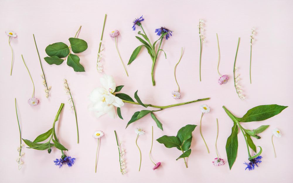 Lily of the valley, cornflowers, daisies peonies over pastel powder pink, vertical