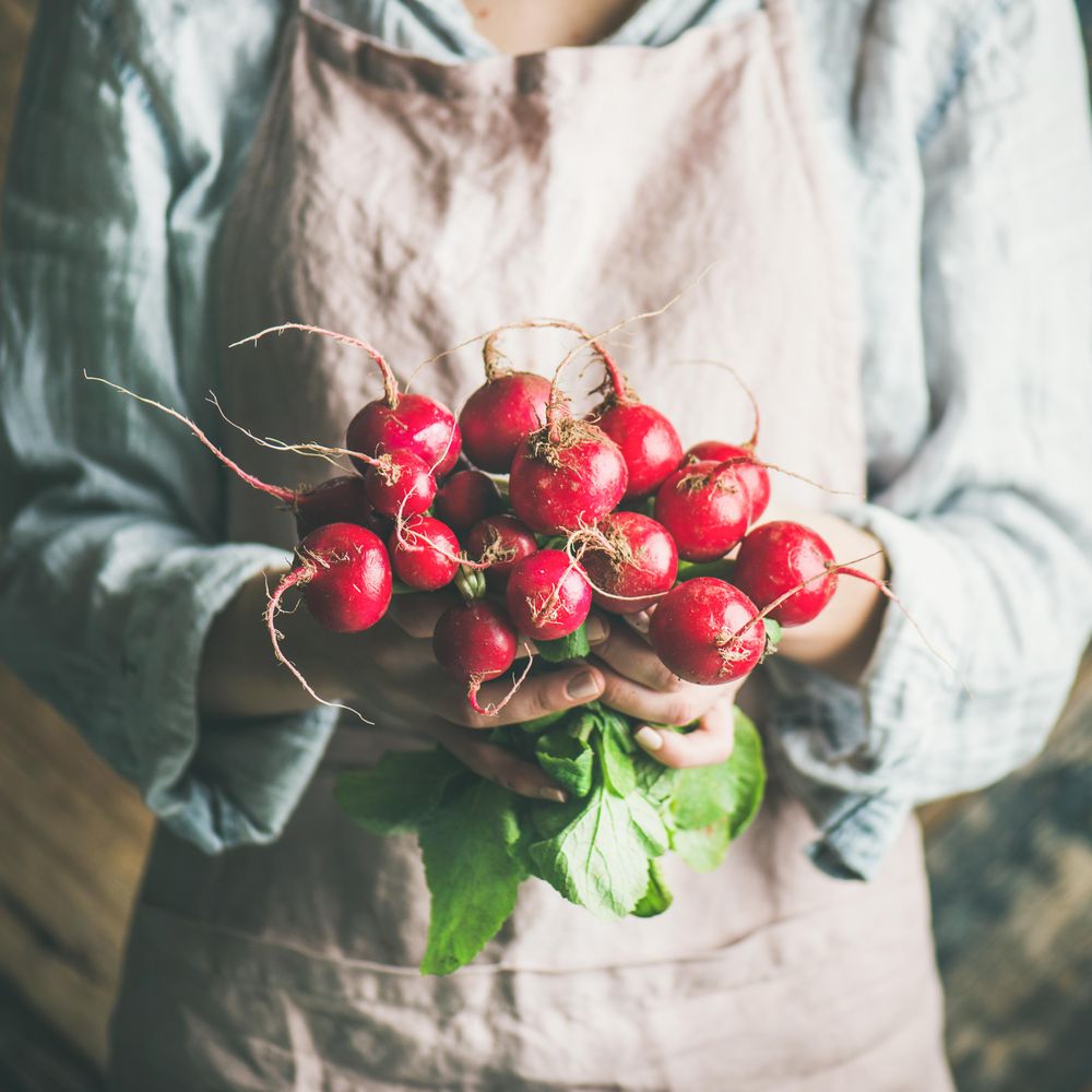 Woman holding fresh radishes in her hands