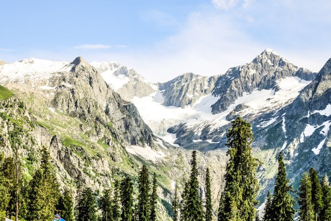 Tree tops in foreground of mountain