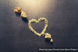 Dried bud in the shape of a heart 5rZQM5