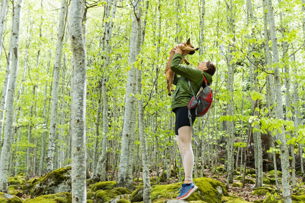 Traveling woman with dog in forest