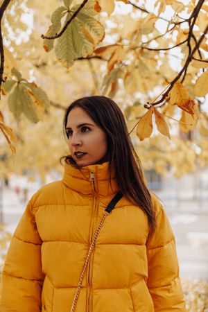 Smiling woman standing on autumn tree