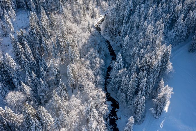 Winter drone image with snowy forest and mountain river in the Bavarian Alps, Germany