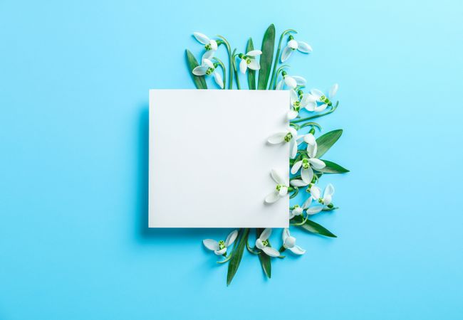 Snowdrop flowers and paper square on color background, space for text
