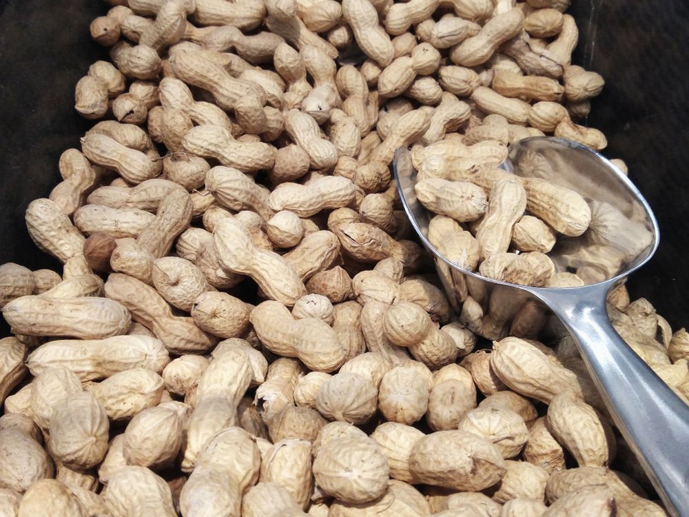 peanuts