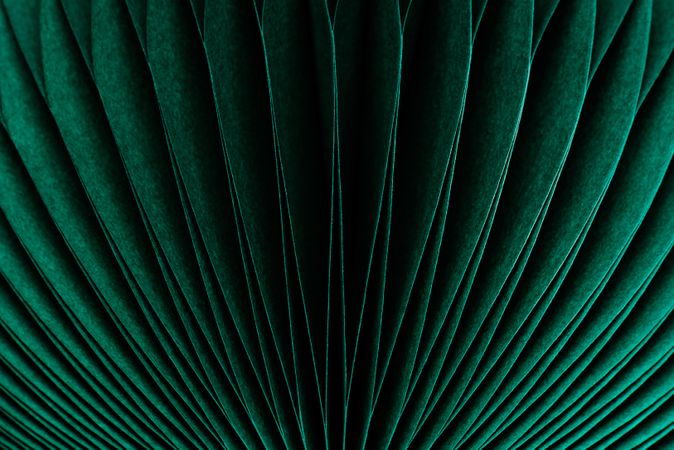 Close up of green paper lamp