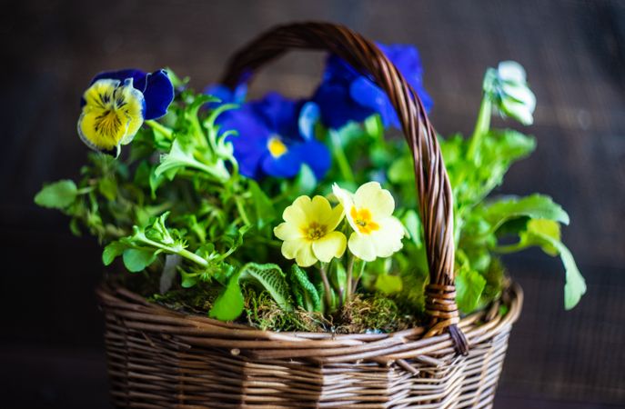 Basket of yellow and blue flowers
