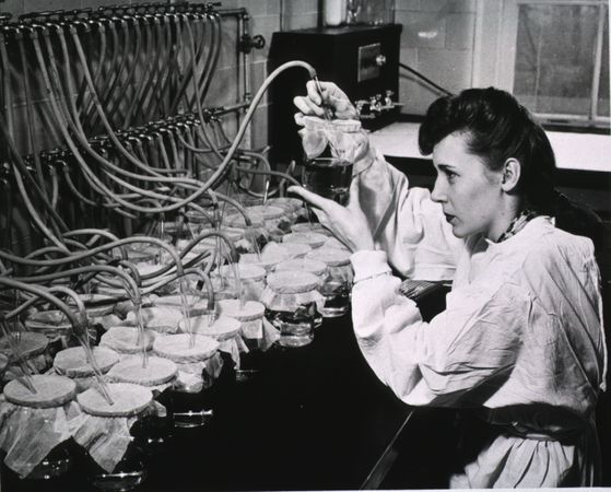 Woman working in science laboratory
