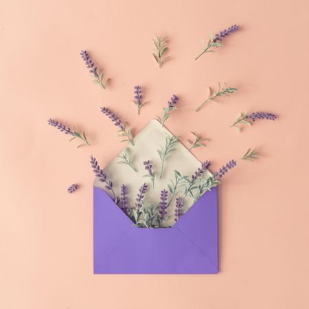 Lavender on pastel pink background and paper envelope