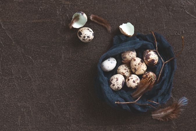 Top view of quail egg nest on dark background with copy space