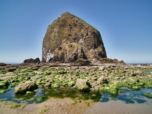 A view of Haystack Rock, Cannon Beach, Oregon