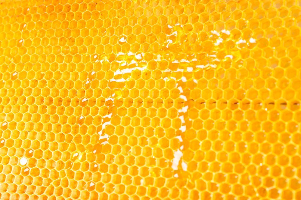 Honeycombs with sweet golden honey on whole background, close up