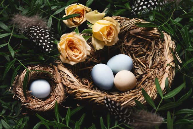 Top view of eggs in nest surrounded by green branches, bird feathers and flowers