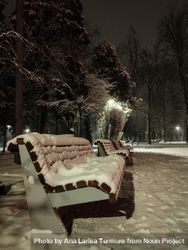 Snow covered bench in a park at night 4j1rW5