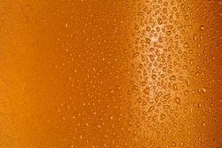 Condensation drops on glass of orange drink