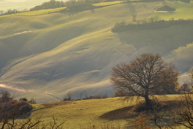 Amazing green valley with mountains