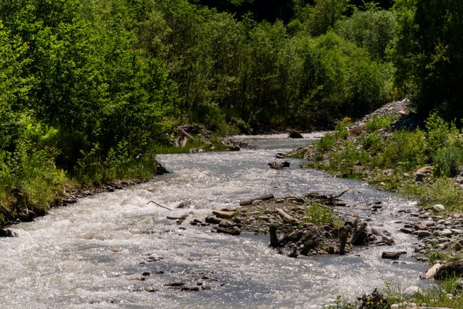 Flowing river with lush green vegetation