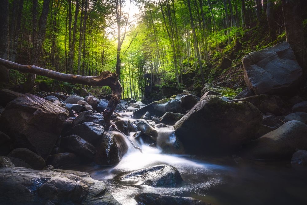 Abetone, stream waterfall inside a forest, Apennines, Tuscany, Italy