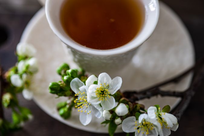 Tea time concept of blooming branch with cup of tea