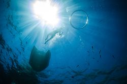 Unrecognizable boy snorkeling in blue sea under bright sunlight