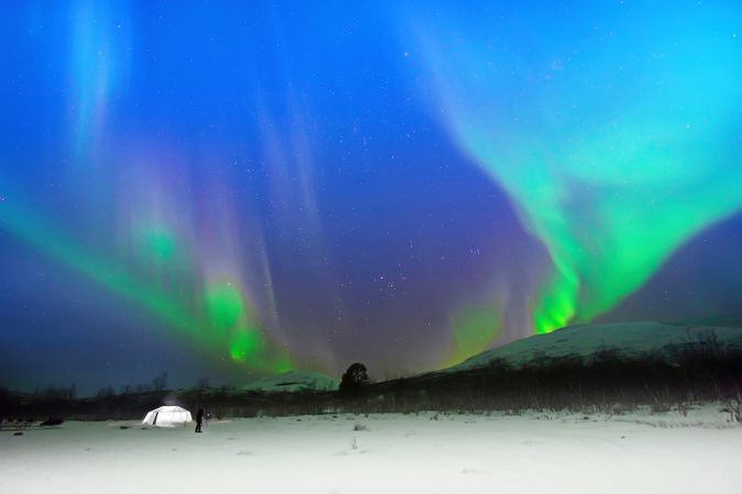 Polar lights over trees in winter countryside