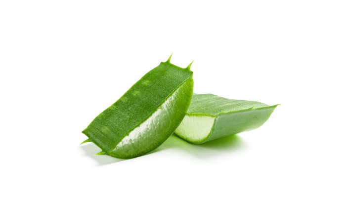 Aloe vera slices isolated on studio background. Herbal medicine