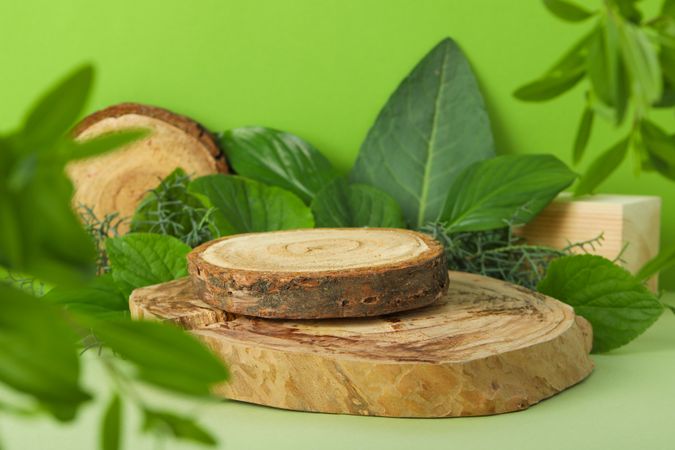 Circular wooden podium surrounded by foliage