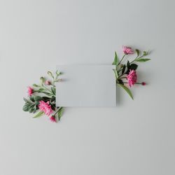 Pink flowers on light background with paper card