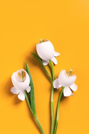 Spring flowers made of egg shells
