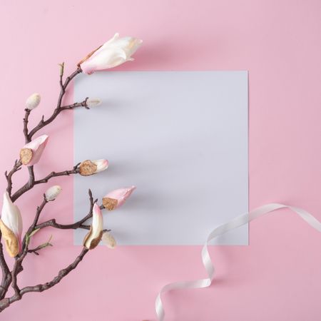 Flowers on brown branch on pastel pink background with paper card