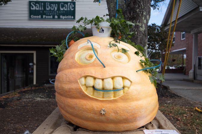 A carving of a 707-pound pumpkin, Damariscotta, Maine