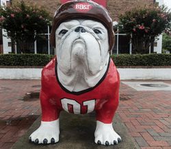 Bulldog mascot statue at University of Georgia n56Pjb