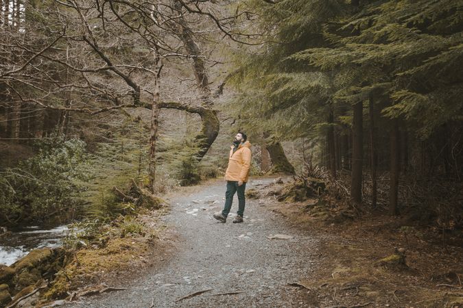 Tourist walking on footpath in forest park