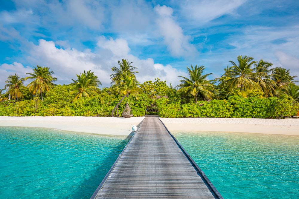 Walkway leading to a tropical beach with palm trees