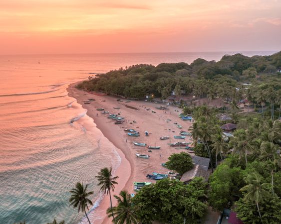 Aerial photography of shore and trees during golden hour