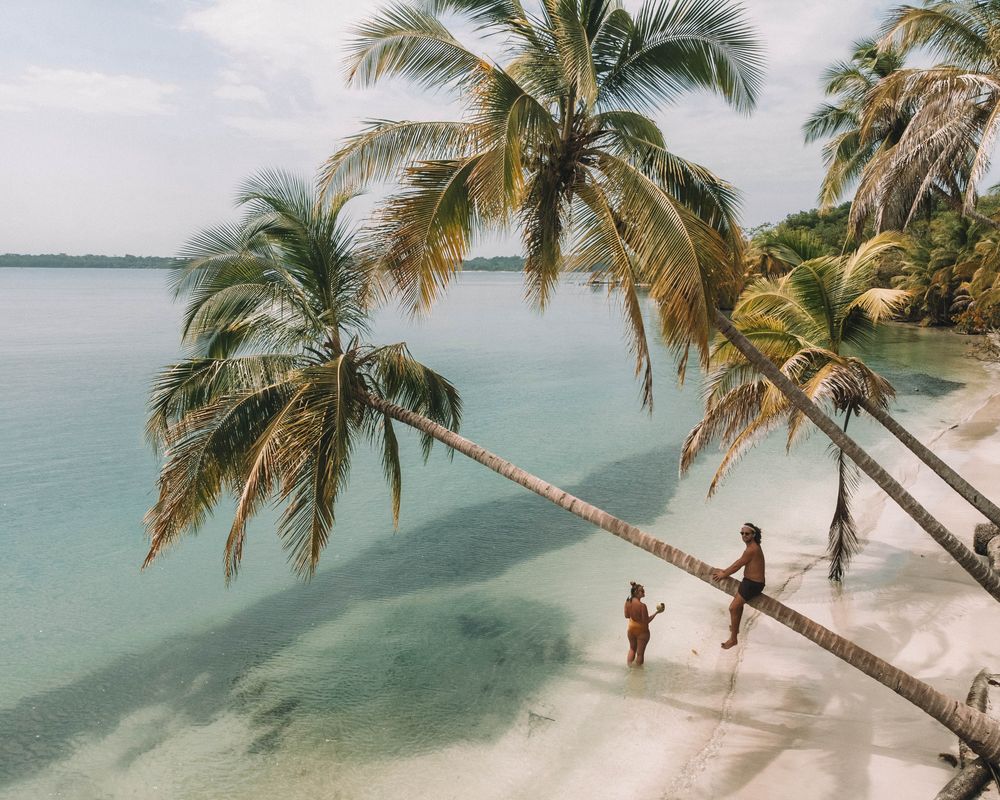 Man sitting on palm tree while woman standing on seashore
