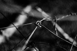 Tense barbed wire