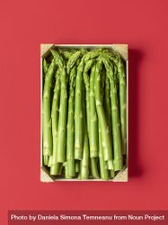 Green asparagus in a wooden box top view, isolated on a red background 5RyAN0