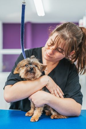 Female groomer with a dog