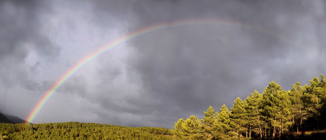 Rainbow on cloudy sky near forest