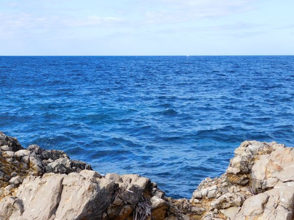 sea
