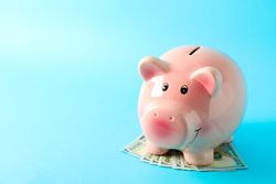 Happy piggy bank with dollars on color background, space for text. Finance, saving money