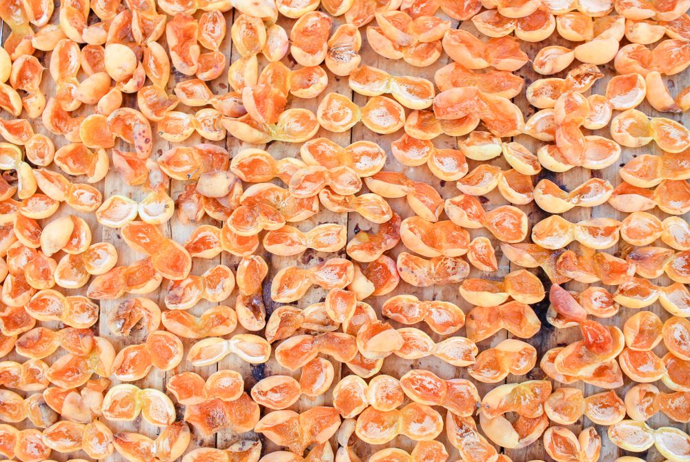 Almond shells opened after removing nut