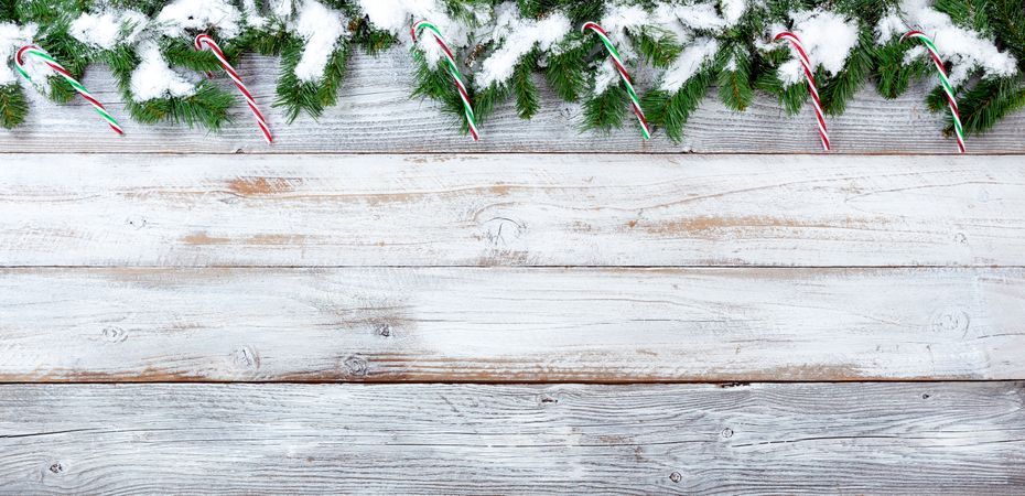 Snowy Christmas evergreen branches and candy canes on vintage wooden planks